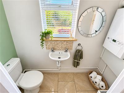 Picture 14